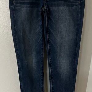 American Eagle Outfitters Dark Blue Skinny Jeans